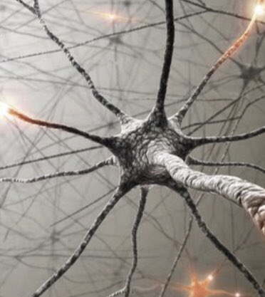 GHSBiology1's tweet photo. @solihullnlc Great training today! Loved learning about brain development in young people 🧠 very interesting!! https://t.co/Y7E1tNkMQ9