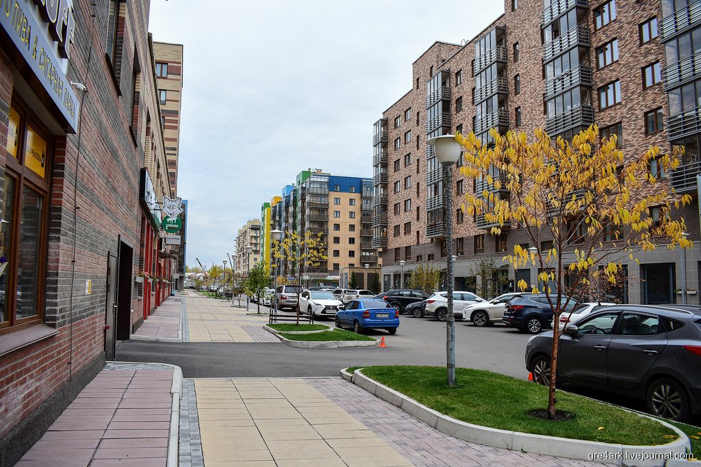 (image)