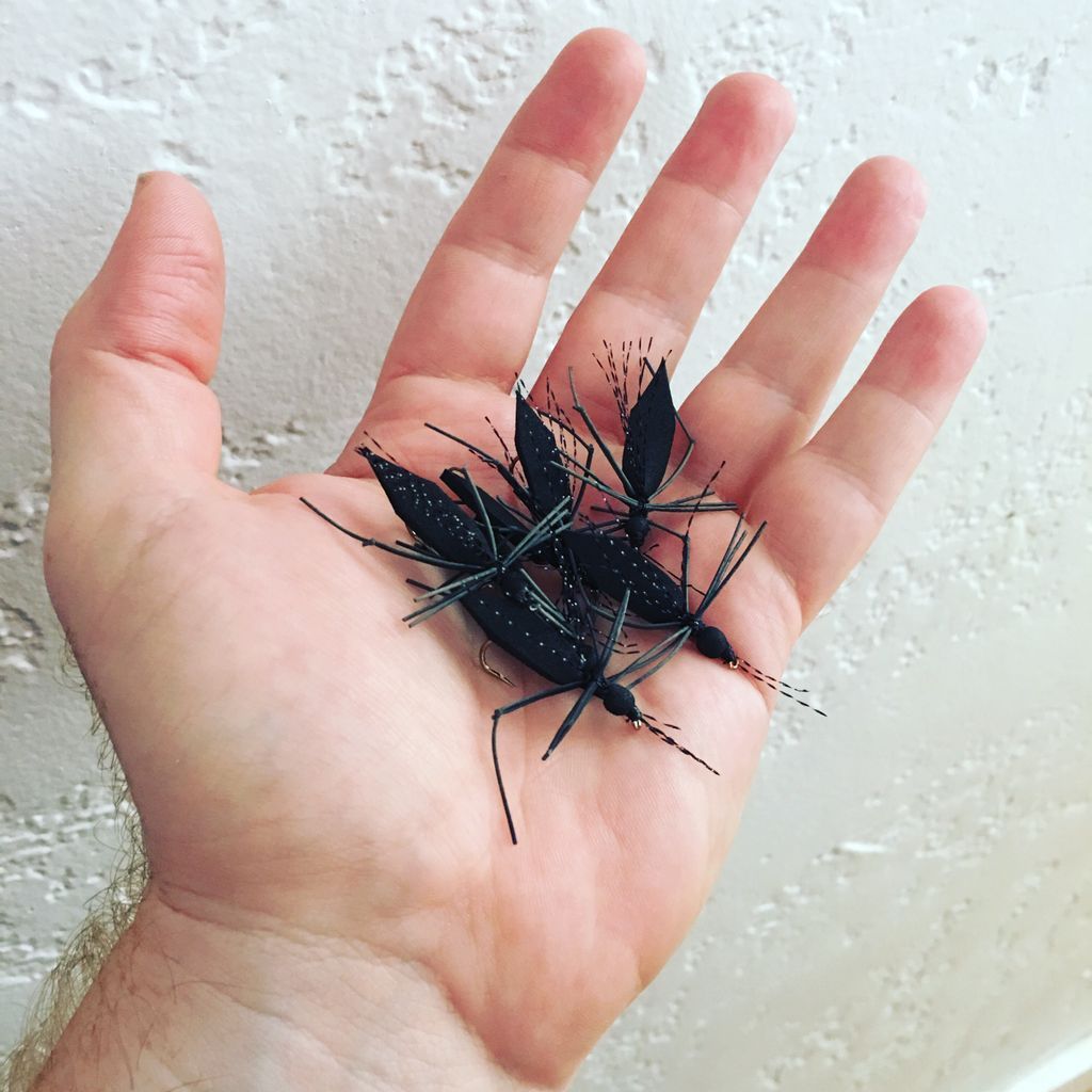 _rifflebox's tweet photo. Who’s excited for terrestrials!
#FlyFishing #troutbum #trout https://t.co/I1OTBJFmff