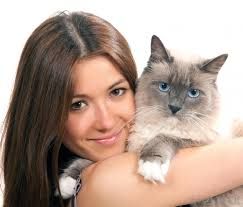 SileneBiotech's tweet photo. ..."It turns out that the cats in our lives are doing the opposite of making us crazy. They actually may be improving our health"....https://t.co/pYsrwtJQFK @NBCNews @xtinaph #improvingourfuture #stayinghealthy https://t.co/Yeof2OEGye