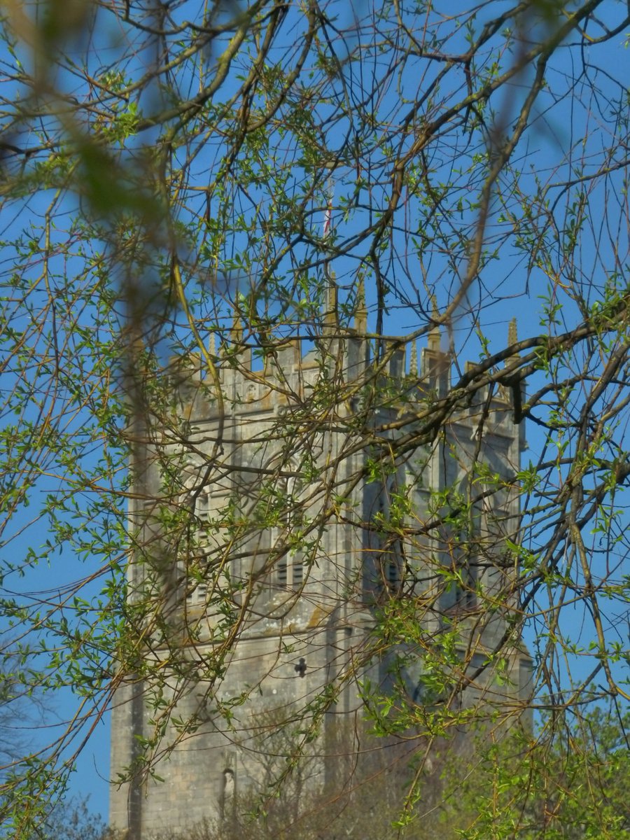 EmmaDuguid3's tweet photo. #Christchurch #Priory #spring #sunny #bluesky #awesome #Dorset https://t.co/FYWb16T6Mq