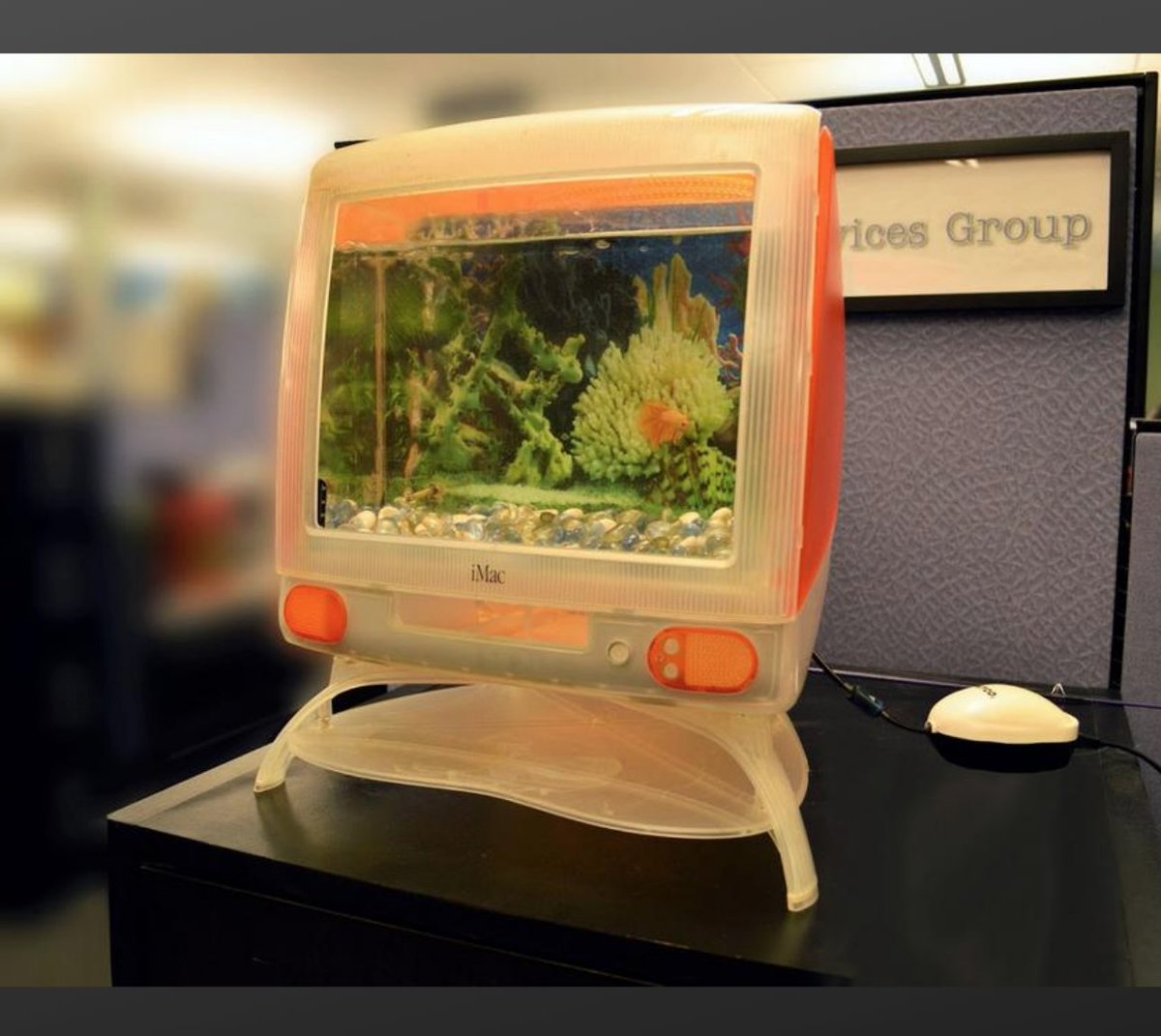 Do you have a cool office? Share it with the BBJ and your company's workspace could be included in our "Cool Digs" feature. Simply fill out the survey here to be considered: bit.ly/2oE0FJE