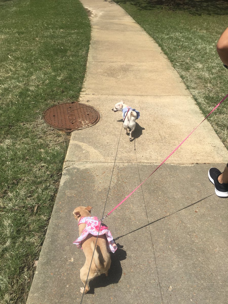 MichelleGudino1's tweet photo. Going for a walk with the fam before heading to work, collecting kms for @Win4YouthNA . Wish family relatives could log their kms as well. #EveryKmCount 😊 #Win4YouthAmbassador #WednesdayFamilyTime https://t.co/YqZAdixQxA