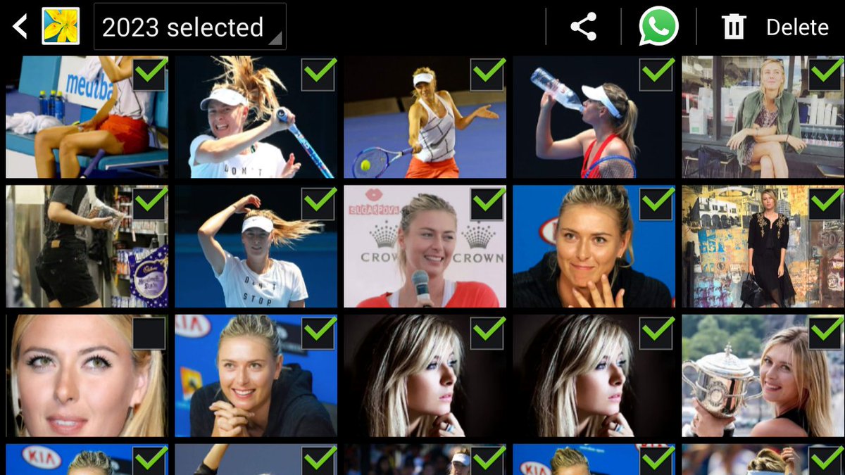 Happy birthday...tribute to legend and my dear... 2000+photos&amp;counting...
<a href="/MariaSharapova/">Maria Sharapova</a>