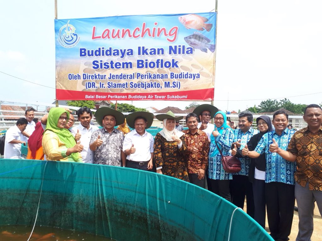 BPIU2K_K's tweet photo. Sukses di lele, KKP kembangkan teknologi budidaya sistem bioflok untuk ikan nila @susipudjiastuti @s_soebjakto @BudidayaKKP #kinibiofloknila #BudidayaHebat https://t.co/SZyOlIy1lz