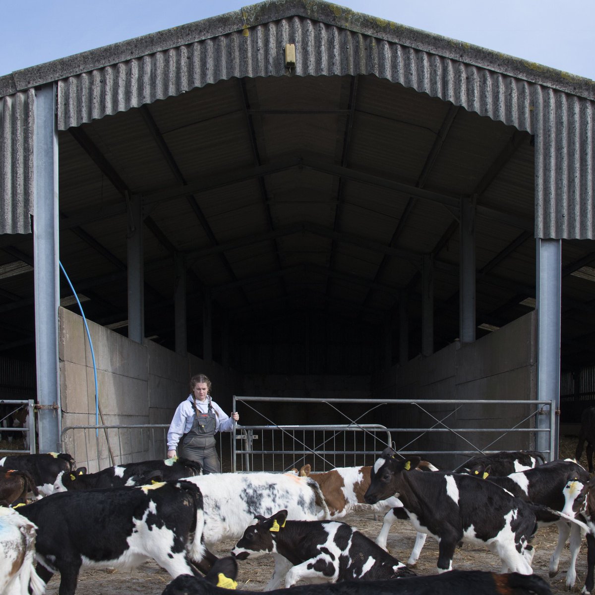 EDANDADPHOTO18's tweet photo. Up next on our Instagram is rural life and agriculture photographer @kateewalk with an image from her current work of female farmers, check out more from her on her website - https://t.co/e7JBSsdZ4w #rural #femalefarmers #agriculture https://t.co/xDGzVhkRZ9
