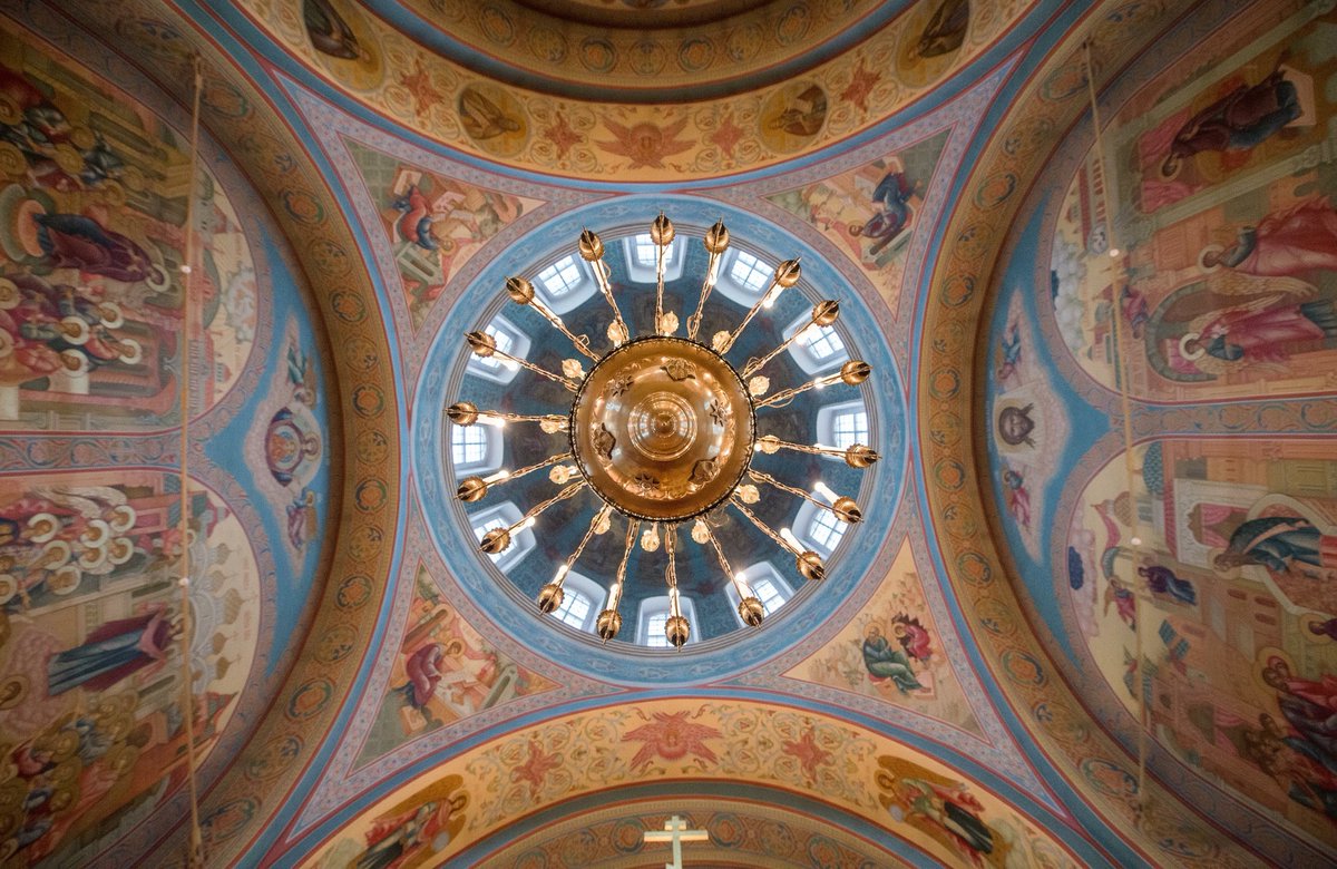 (image)