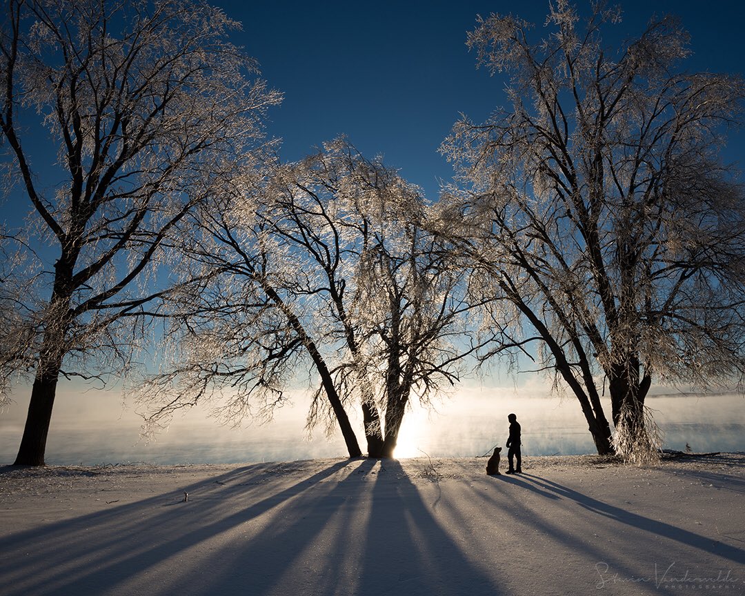_SVphotography's tweet photo. When the sun rises the morning after an ice storm ...brilliant #LakeOntario 
#ThePhotoHour #stormhour https://t.co/9LwDId4KHd