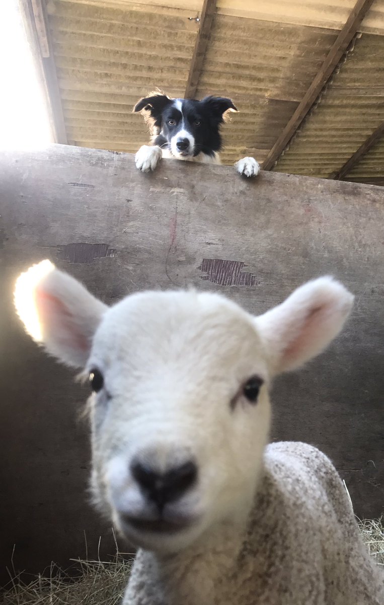 Brownsvilleted's tweet image. When your boss catches you taking selfies at work