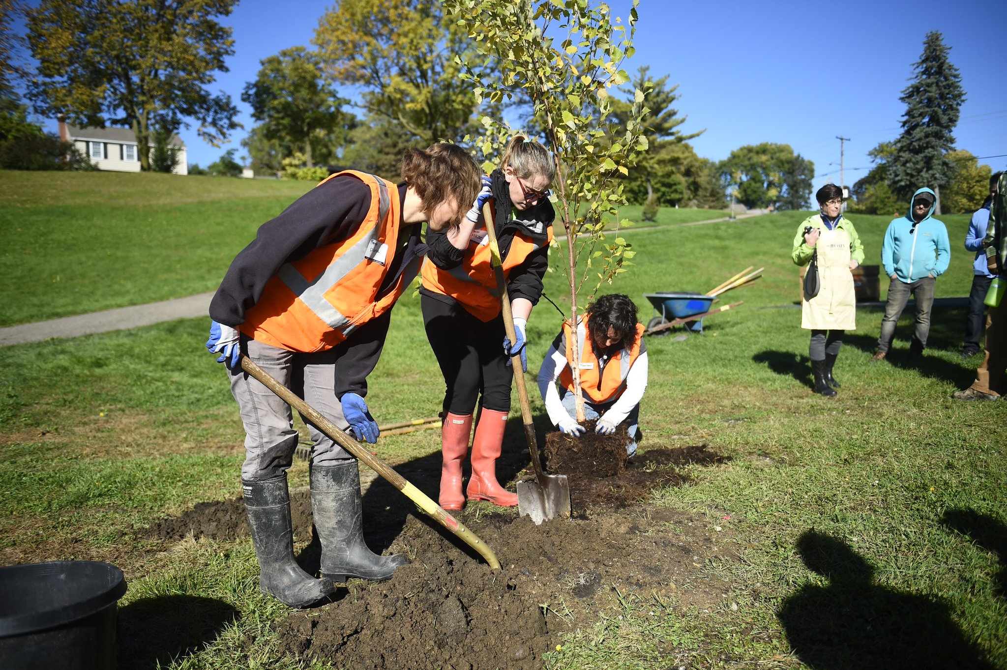 Lee & Associates Pledges to Plant a Tree for Every Deal with the Arbor