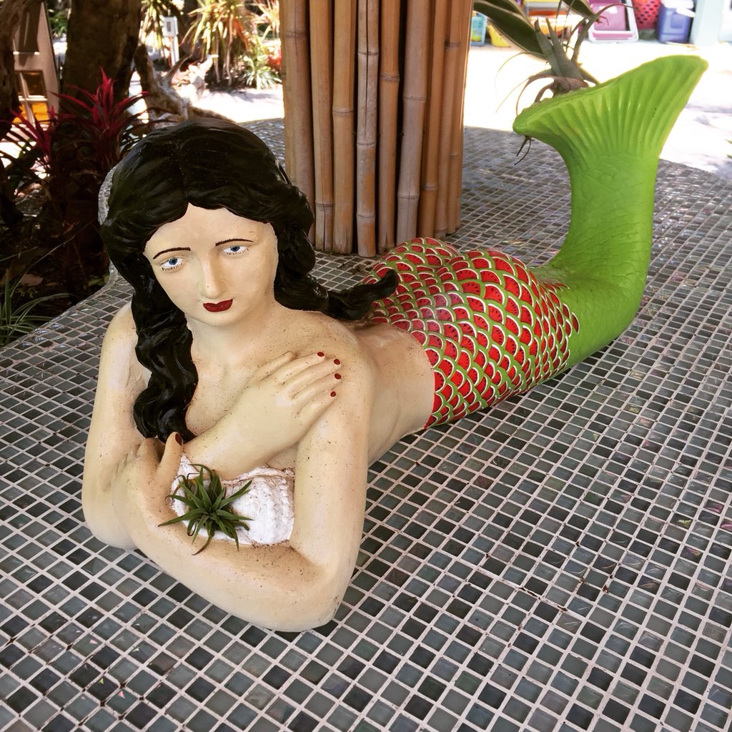 r_wilberg's tweet image. Create for yourself. The rest will follow. bit.ly/2iJ9231 #crowdbehavior #relationships #perception #groupdynamics #writing #amwriting #poetry #songwriting #songwriter #millennials #filmmaking #filmmaker #SupportIndieFilm #creativity #creative #inspiration #imagine