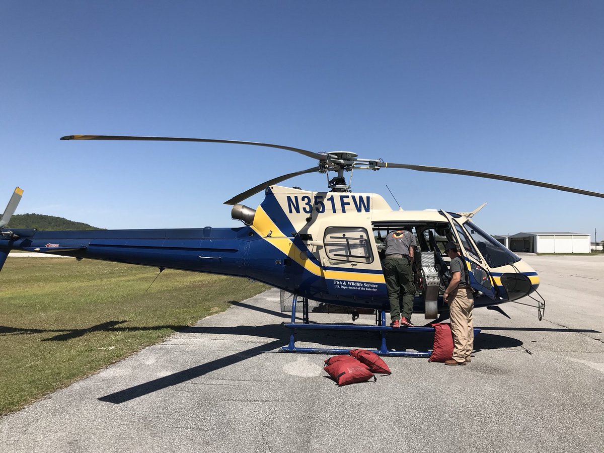 USFWSFire's tweet image. RX fire base lines completed at Mountain Longleaf NWR. About to begin aerial ignition with #usfws helicopter 351FW. #alfire #goodfires #rxfire