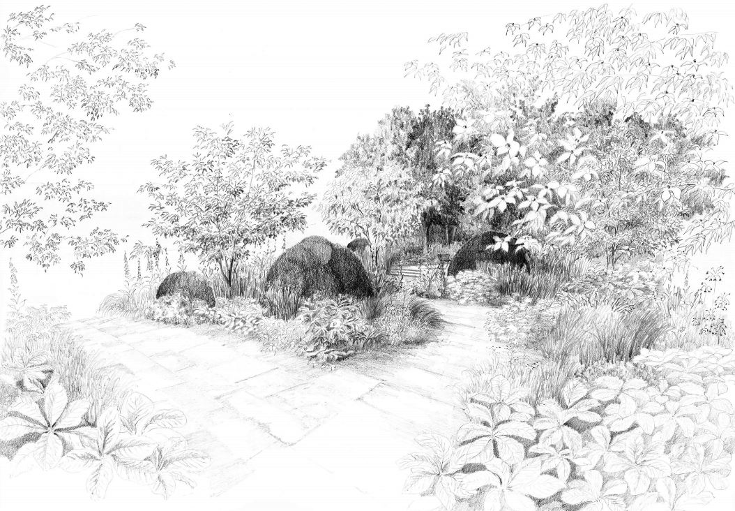 crocusCoUk's tweet image. We are overjoyed to be collaborating with Tom Stuart-Smith again at the Chelsea Flower Show after 8 years, building a garden in the centre of the marquee! Learn more about The Weston Garden here: ow.ly/z3rx30jvx6M #Chelsea2018 #ChelseaFlowerShow2018 #mycrocus