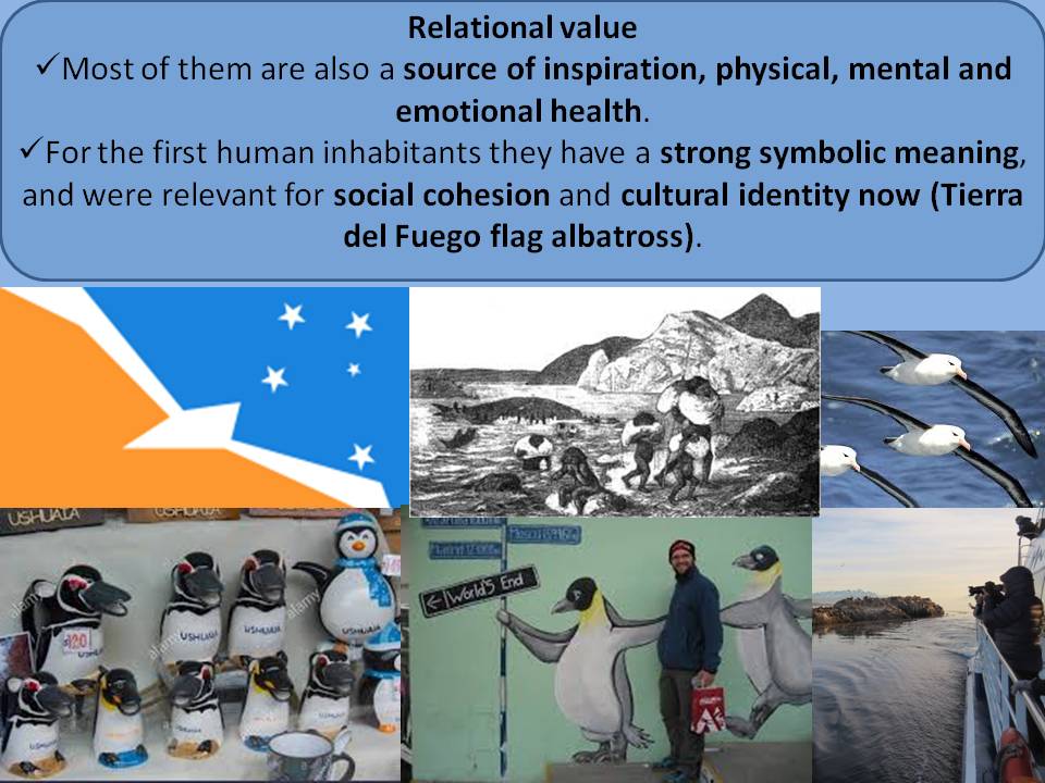 andrearayarey2's tweet photo. 3/4 Species that inhabit large, conspicuous colonies are important economic components (i.e. tourism), important for social cohesion, identification w/ symbolic meanings for the first inhabitants. Source of inspiration , physical, mental and emotional health. #WSTC4 #ConsBio2 https://t.co/q4lHacG9aq
