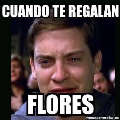 CaadFlores's tweet photo. Atentamente: Todos los amantes de las flores! 

Feliz miércoles! 

#CaadFlores #ArreglosFlorales #Floreria #Flores #Cafetales #Floristeria https://t.co/PNumEjdsZN