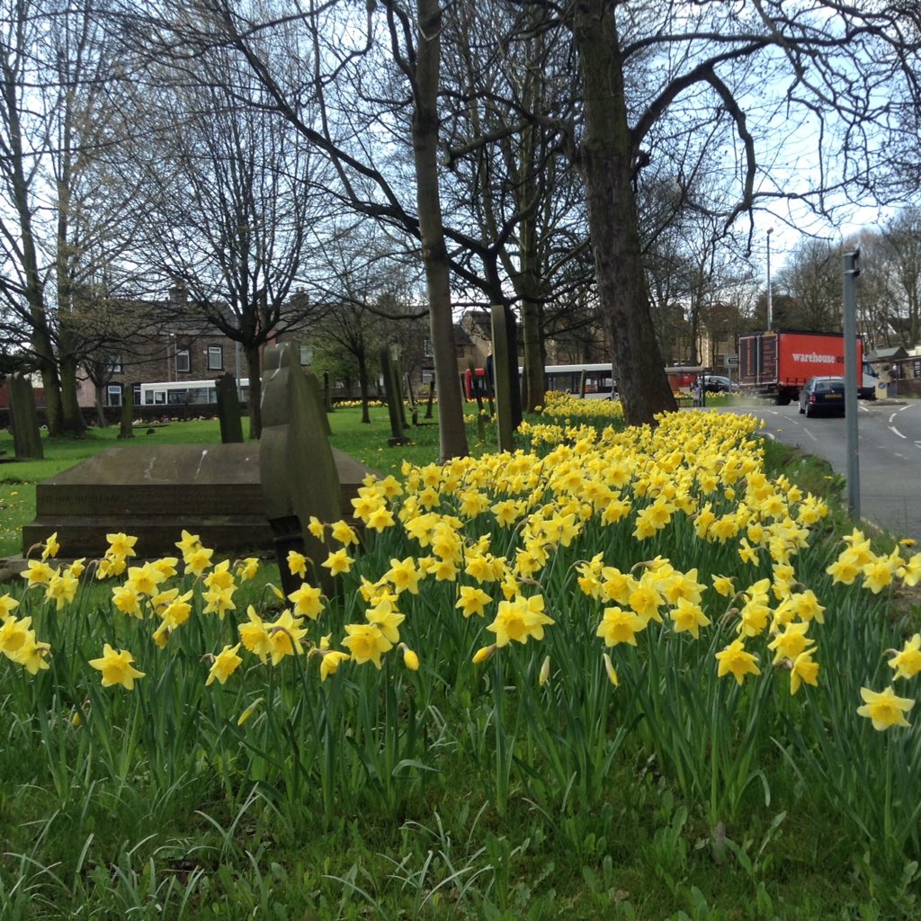 Voice for Darton tweet media