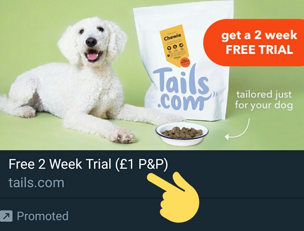 MondoD23's tweet photo. @tailsdogfood Yo @ASA_UK https://t.co/0vfllYX2vu