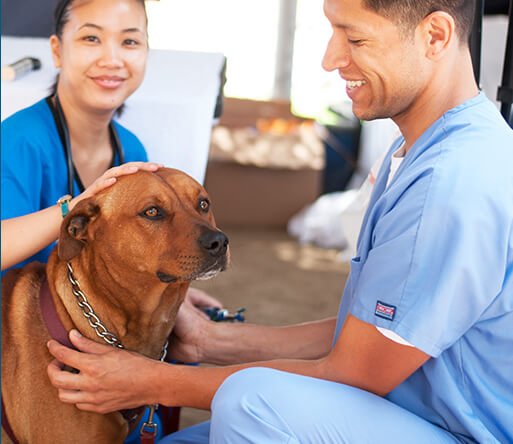 PDXTbird's tweet photo. At the @Banfield Foundation, we are committed to making a better world for pets because they make a better world for us. Learn more here: https://t.co/p2bbYxp523 https://t.co/cVlQZZSTsb