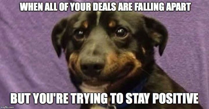 RealSalesHumor's tweet image. Stay positive peeps!

#sales #saleshumor