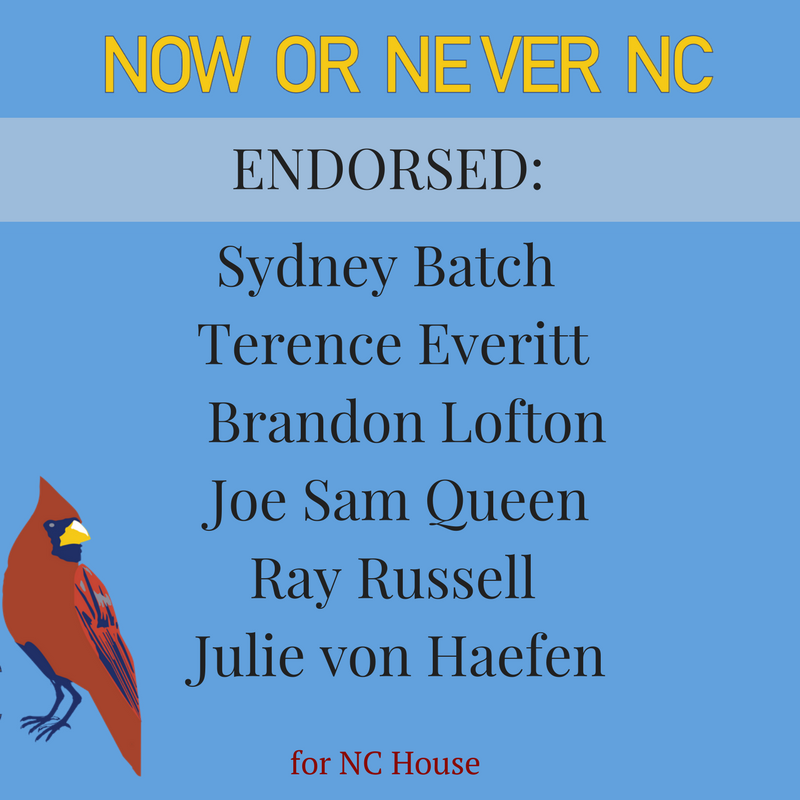 NoworNeverNC's tweet photo. We are proud we have endorsed Sydney Batch, Terence Everitt, Brandon Lofton, Joe Sam Queen, Ray Russell, and Julie von Haefen for the NC House! We look forward to a future with these North Carolinians who will #representNC! https://t.co/sxXpjqhs2M
