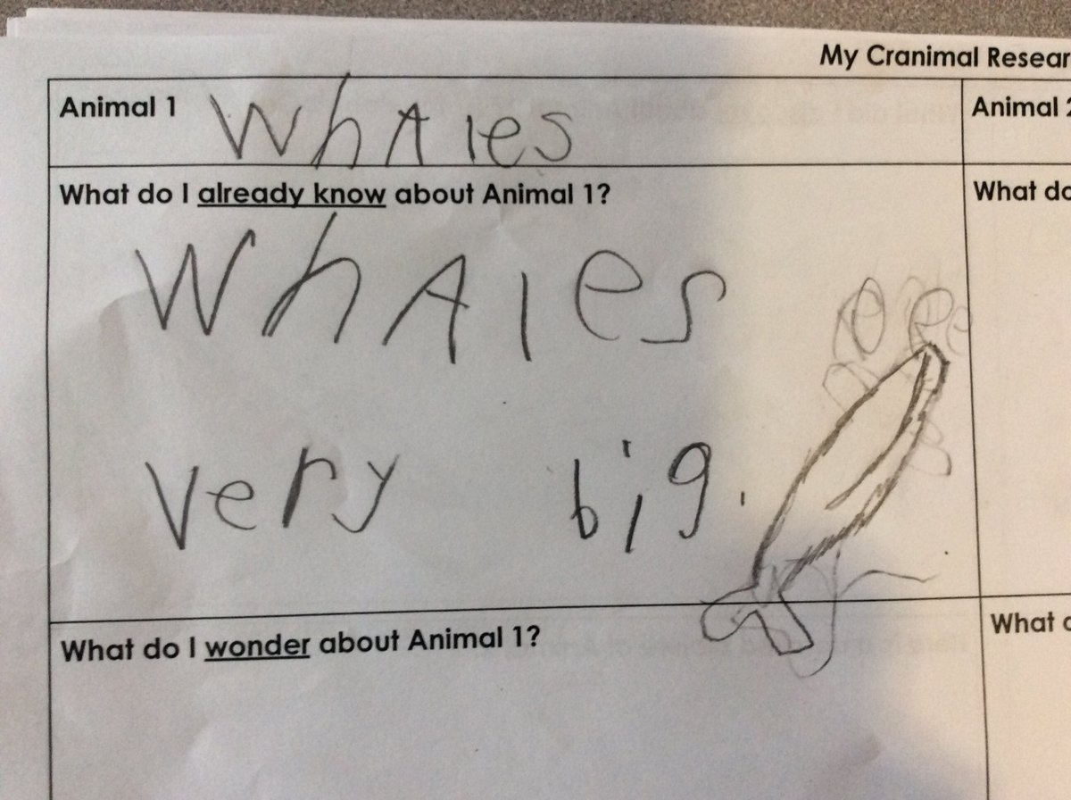 MrsBathsClass's tweet photo. What two animals interest you the most?  Grade 1’s are researchers... https://t.co/9SGCWjmJRh