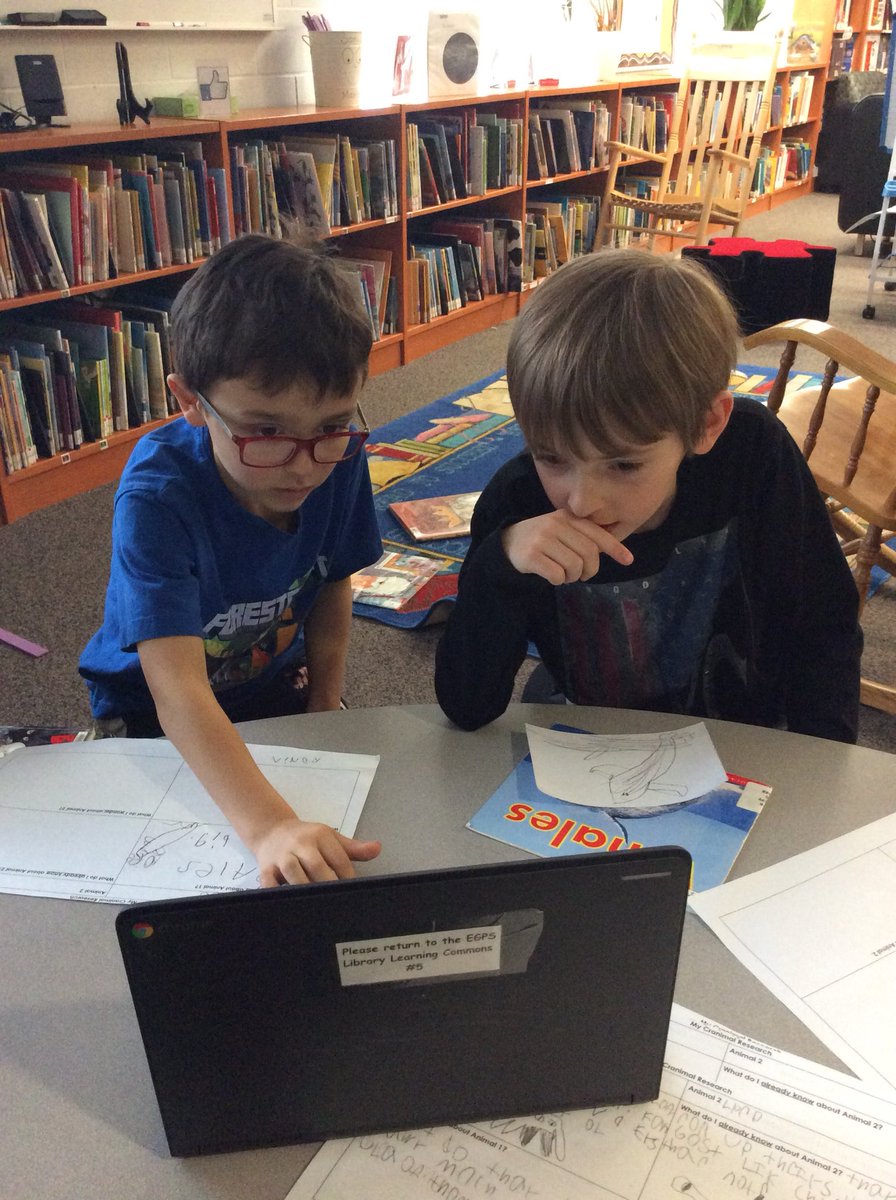 MrsBathsClass's tweet photo. What two animals interest you the most?  Grade 1’s are researchers... https://t.co/9SGCWjmJRh