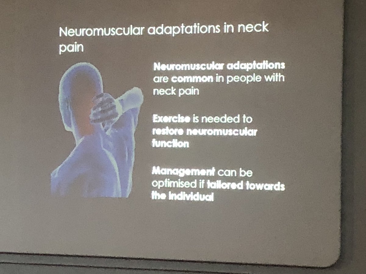 iPhysio_UK's tweet photo. Inspiring Inaugural Lecture @Deb_Falla ‘More than just a pain in the neck!’ Synopsis of work and innovative approach to research = huge achievement. Proud to be part of this team @CprSpine @PhysioMACP @unibirmingham @UBSportExR https://t.co/kXiuoko1Db