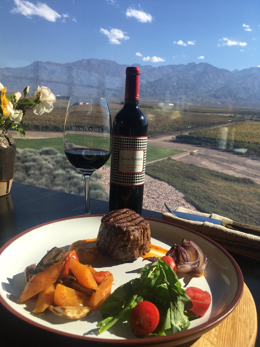 80harvests's tweet photo. Malbec & Steak perfection Bodega Diamandes with @winepaths #winepaths #luxurywinevacations #luxurywinetours #winewednesday#winelover https://t.co/Y2YNmPBHex