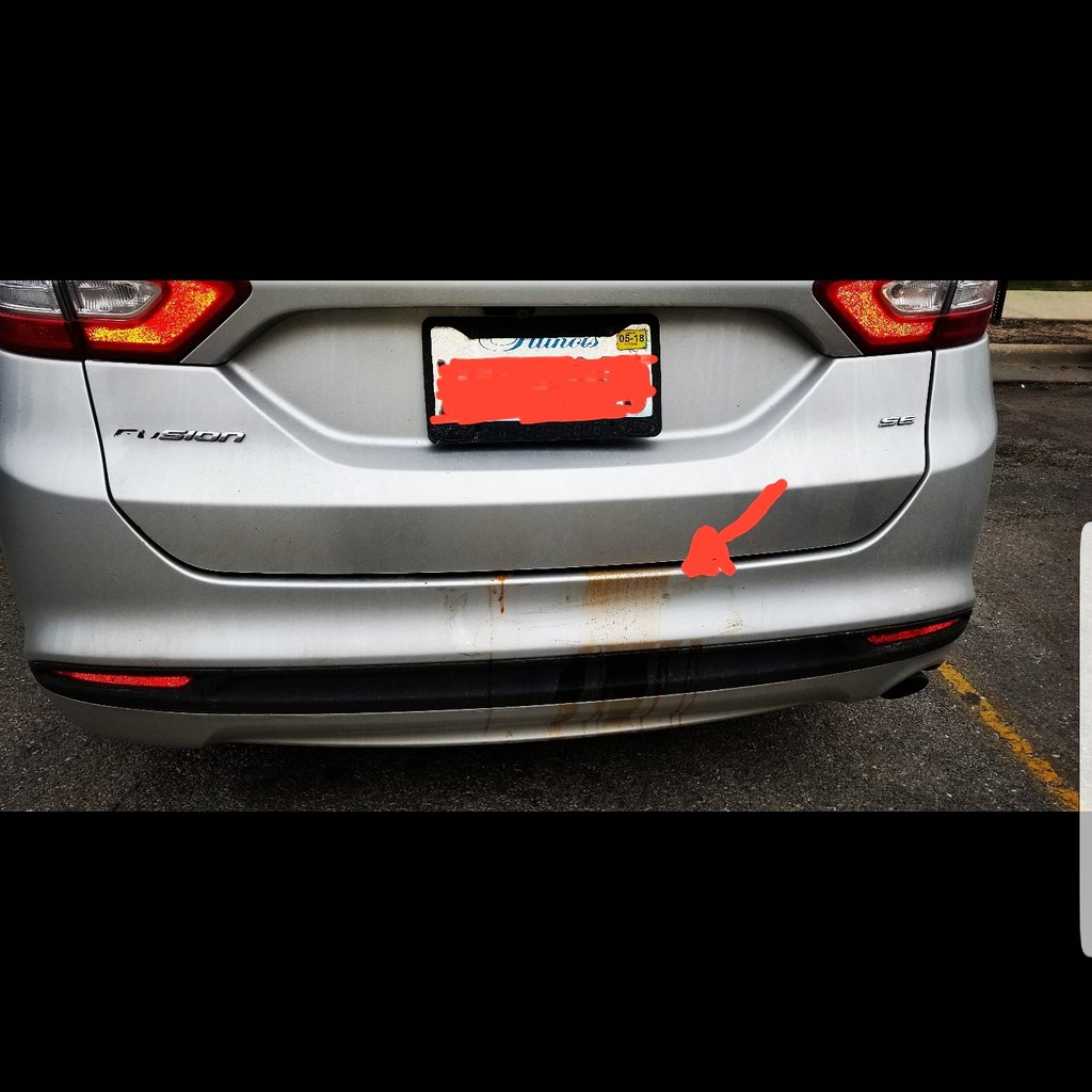 erichconnor's tweet photo. Even my car got diarrhea from Pepe's today! https://t.co/LyTJdQ5wsE