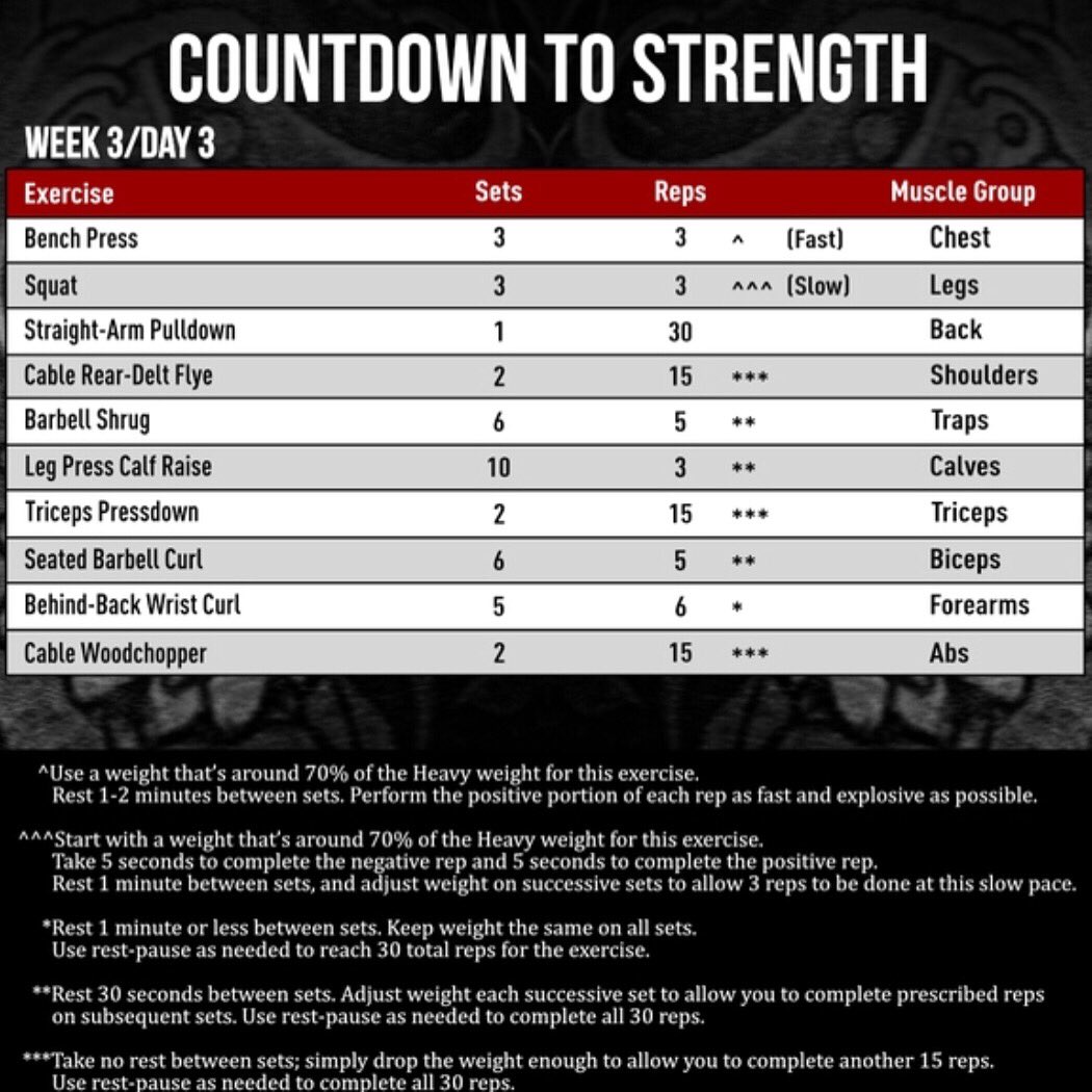 download free down and up mass program jim stoppani 6 download free down and up mass program jim stoppani 6