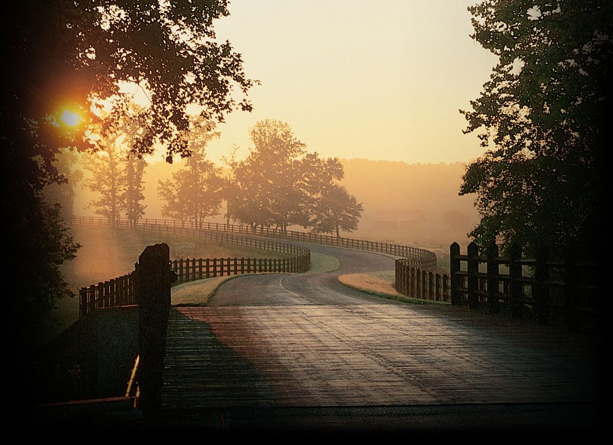 66perristreet's tweet photo. 8 incredible farm resorts for your next country escape (via @Southern_Living): https://t.co/HllRFJXxTO 

#TTOT #travel #wanderlust #travelmore #countrylife https://t.co/jiNFkMxaAu