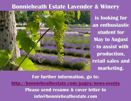Guidance_WDHS's tweet photo. @wdhswolfie @wdhs_sc looking for a summer job? Check this out: https://t.co/H4pAkPWH9g