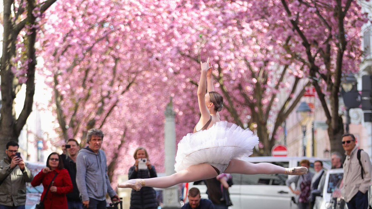 If flowers make you happy, check out these new photos of vivid #cherryblossom trees in bloom bit.ly/2J6iR7C?utm_so… https://t.co/YJvvI4TDc7