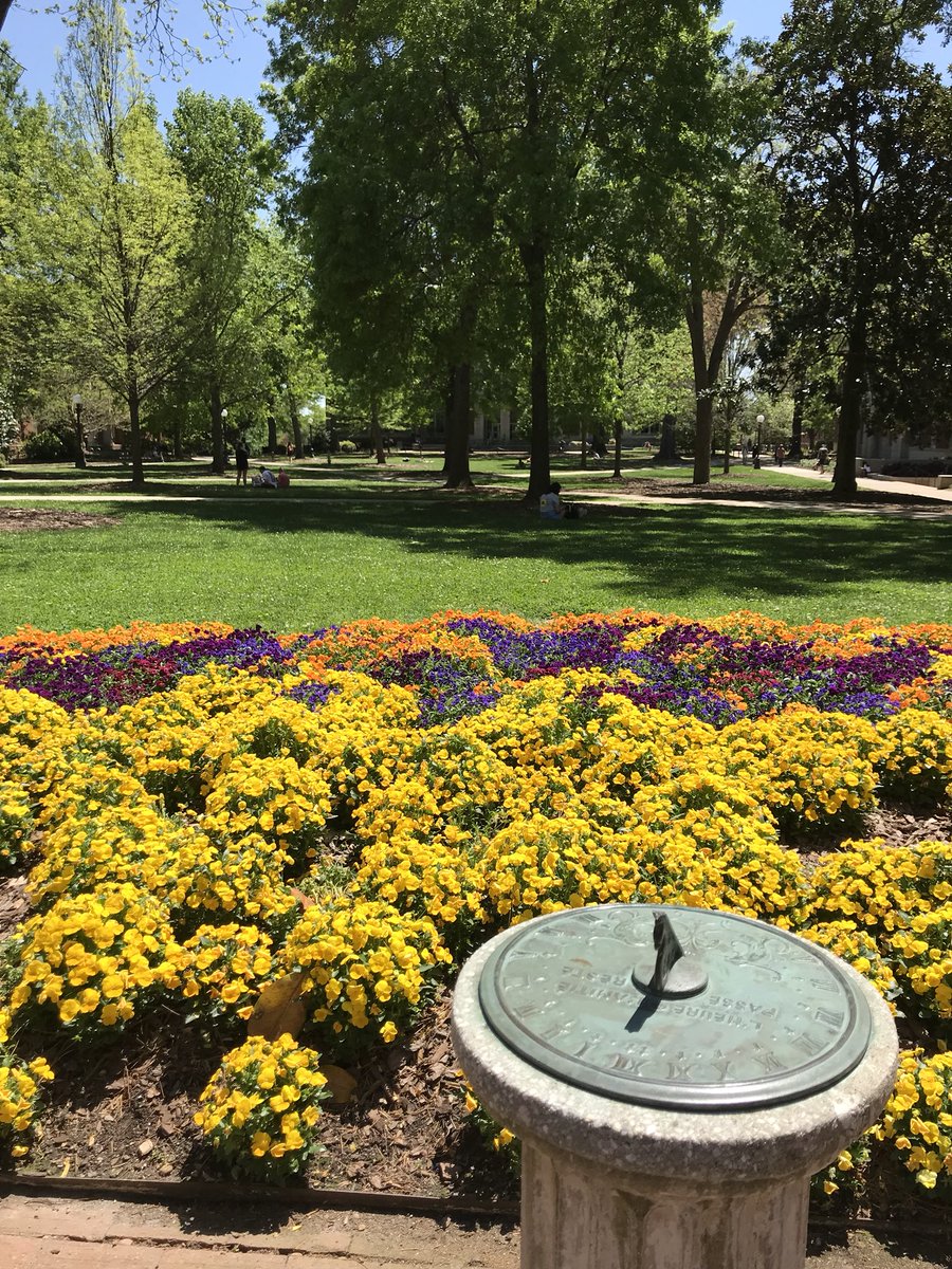 universityofga's tweet photo. All the heart eyes. 😍 https://t.co/jAY2ofGm7Q