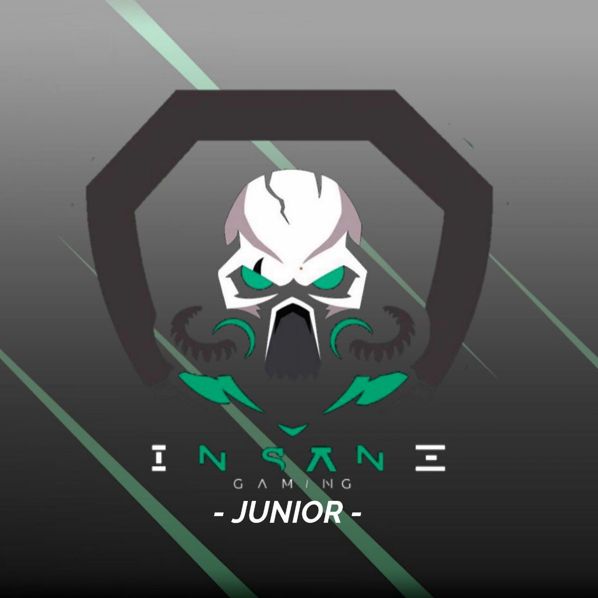 Ya están aquí los chicos de <a href="/InsaneGamingJR1/">Insane Gaming JR</a> para llevarse la <a href="/CopaHienaCR/">Copa Hiena</a>