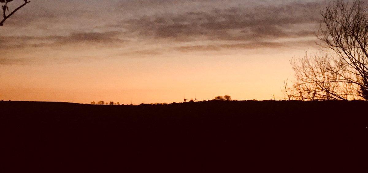 dmasonoutdoors's tweet image. #backgardensunset #stunning #beerinhand