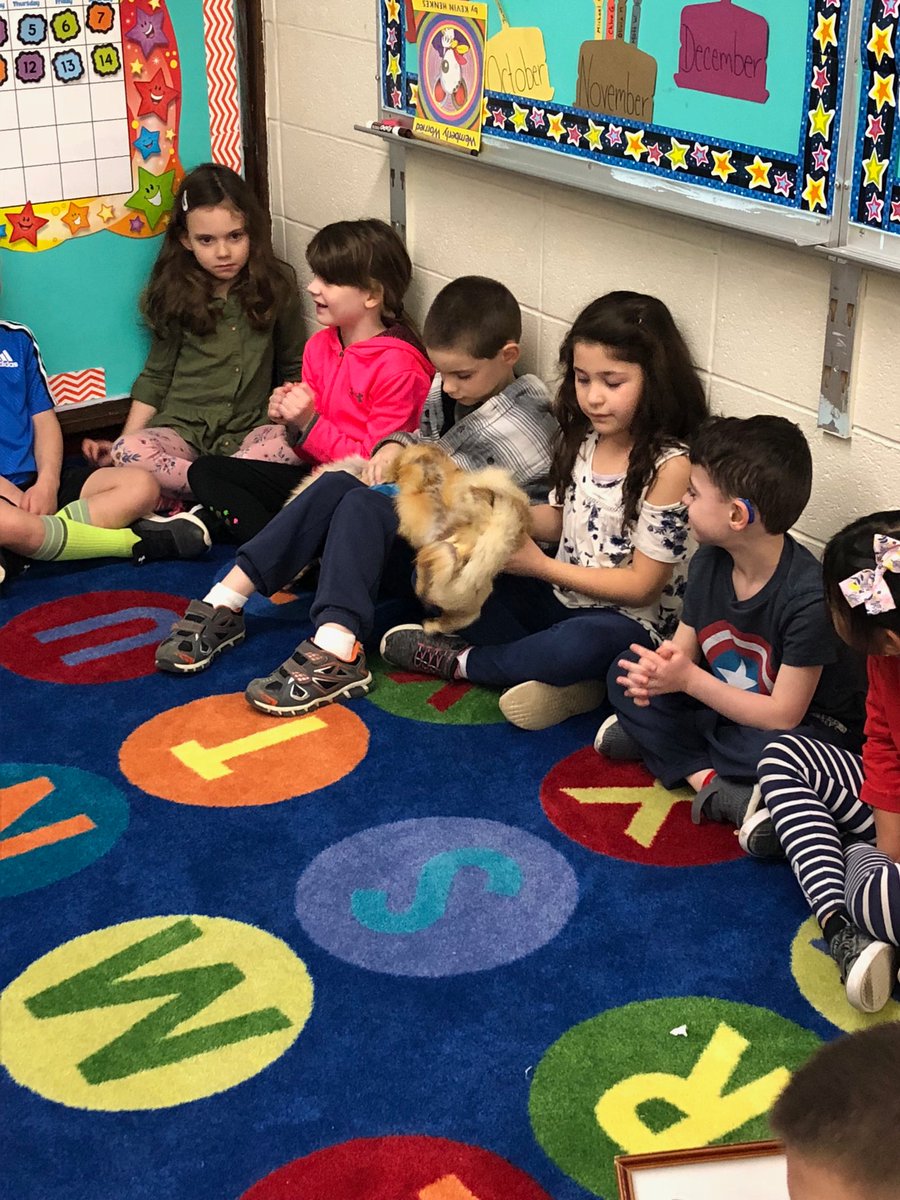 Barrows' Bunch tweet media