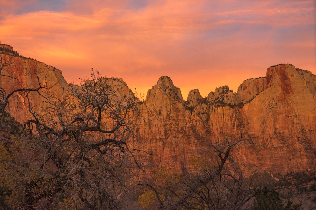 WhereLasVegas's tweet photo. A7: Our favorite #NationalPark has to be @ZionNPS. It is just a quick drive from our home in #LasVegas. #wherechat #twitterchat https://t.co/OTyc9wYnh3