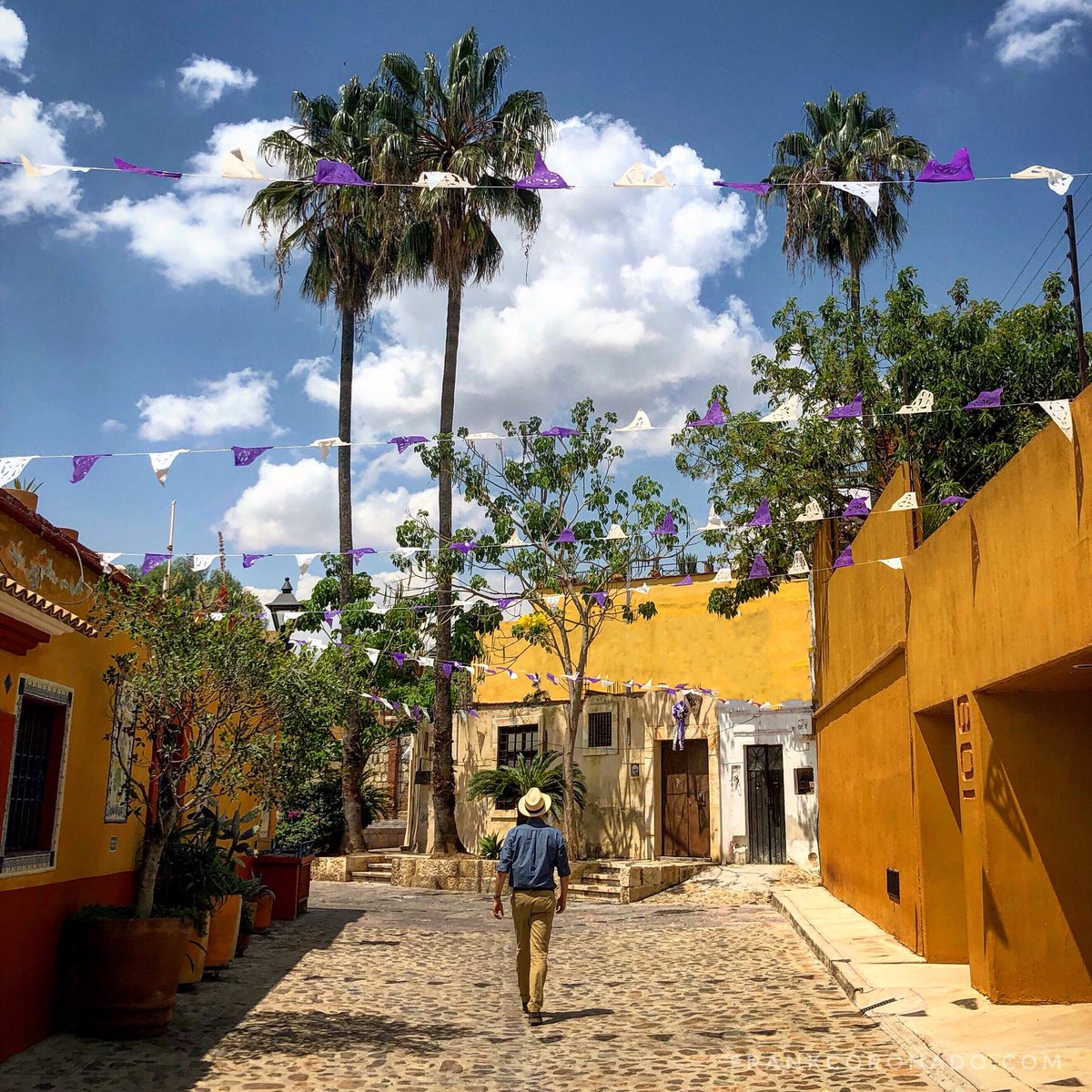 fcoronado's tweet photo. En #Oaxaca el Barrio de Xochimilco está lleno de coloridos y un tanto secretos callejones. #FotoViajera 🇲🇽 https://t.co/0ghEHP4hPL