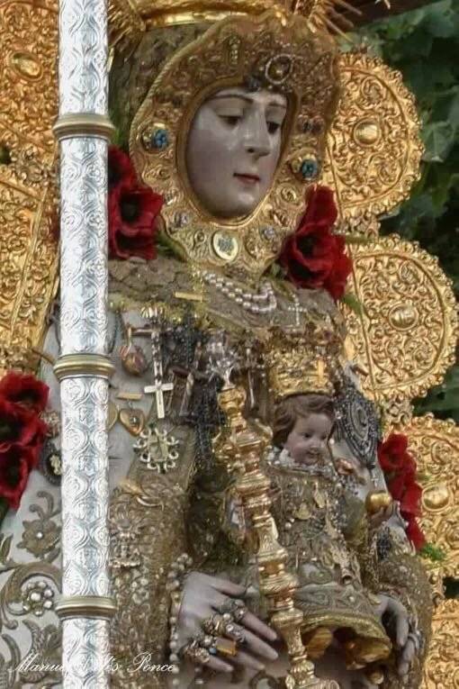 Buenas noches.
Que el descanso y el sueño de hoy sean preludio de un día nuevo lleno de Rocío.
Hasta mañana #Rocieros