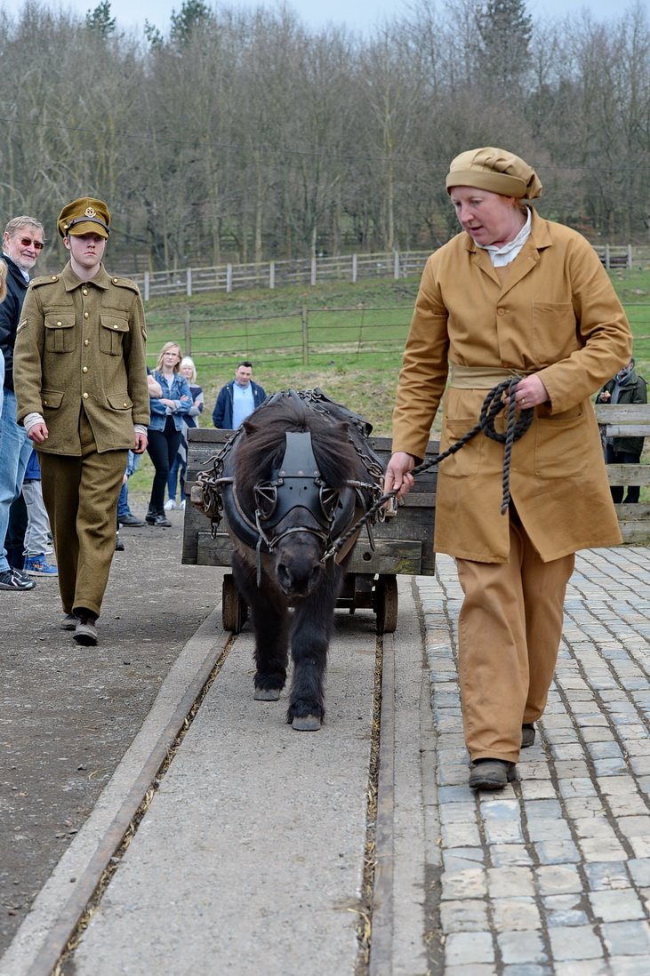 MiniPonyHire's tweet photo. Look at our Marley working as a #pitpony - he is AMAZING - wearing his @mojowristbands fed on @TopSpec2 survivor of #ColicSurgery thanks to @AlnorthumbriaEq & @TheDickVet Photos by https://t.co/nTnrZhmTxM https://t.co/riyGfTFdPi