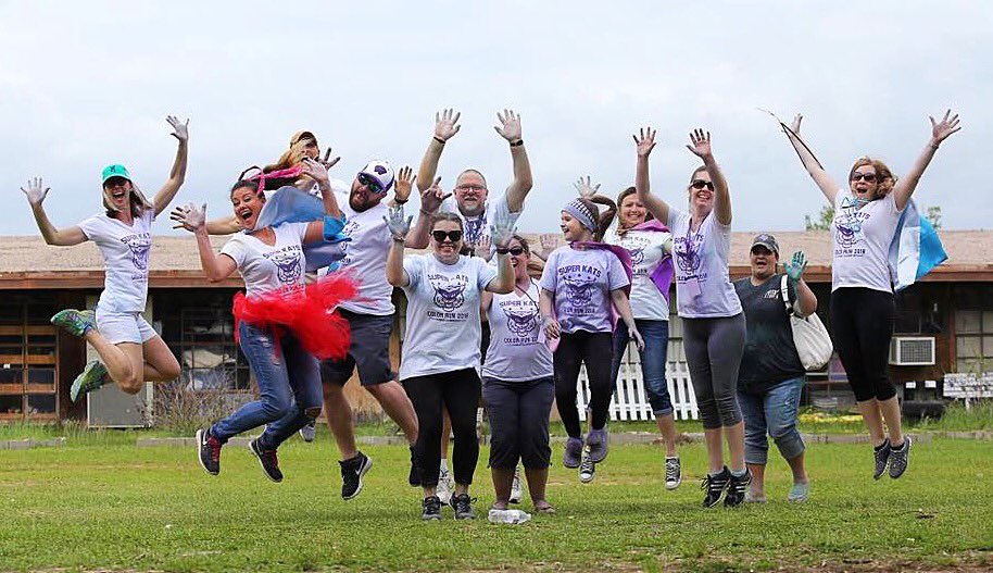 WISDParmley's tweet photo. A Big THANKS to our wonderful @WISDParmley PTO and Parent Volunteers for making our Super Kats Color Run a lot of FUN! #ParmleyProud https://t.co/hQYvdrxfhJ