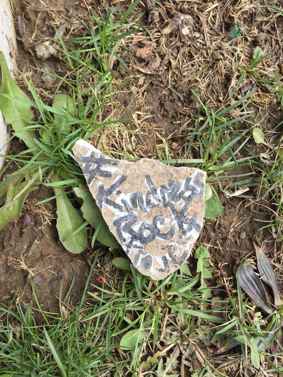 janetnorwd's tweet photo. #KindnessRock on the Greenway in Bethlehem. A happy find. https://t.co/aOCI7M6psz