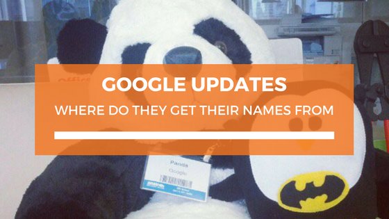 inbound_aus's tweet photo. Did you know Google changes their algorithm between 500-600 times every year? 
Here we outline what each of these updates covered and where they got their names from. 
https://t.co/6PCssdykQs https://t.co/xAPNQoyi6R