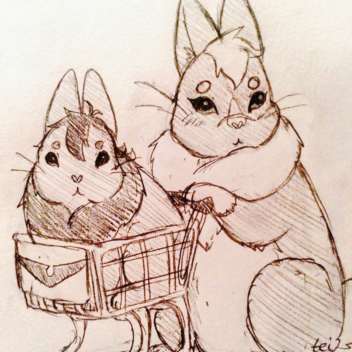 teiandcake's tweet photo. Hello yes where is your carrot section plz
#buntron https://t.co/OsIycTwRZ6
