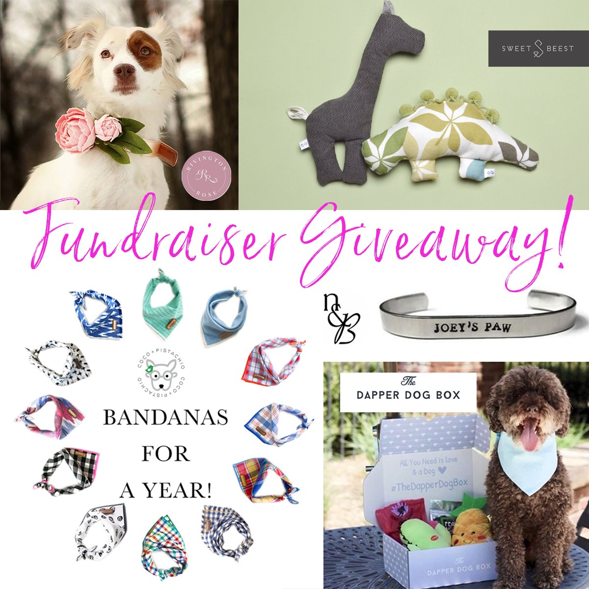 CocoPistachio's tweet photo. THE BEST FUNDRAISER GIVEAWAY EVER!!! Over $500 worth of fine pet accessories! Donate any amount to enter to win!!! https://t.co/6SNVMAb2Ry https://t.co/9Vcc2L8CPx