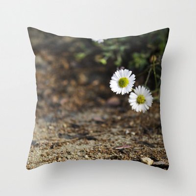 RandomOasis's tweet image. New Listing: White Daisies Home Decor Pillow Cover 18x18, Floral Fireworks  Photograph #2 by RandomOasis, ift.tt/2bfI92N