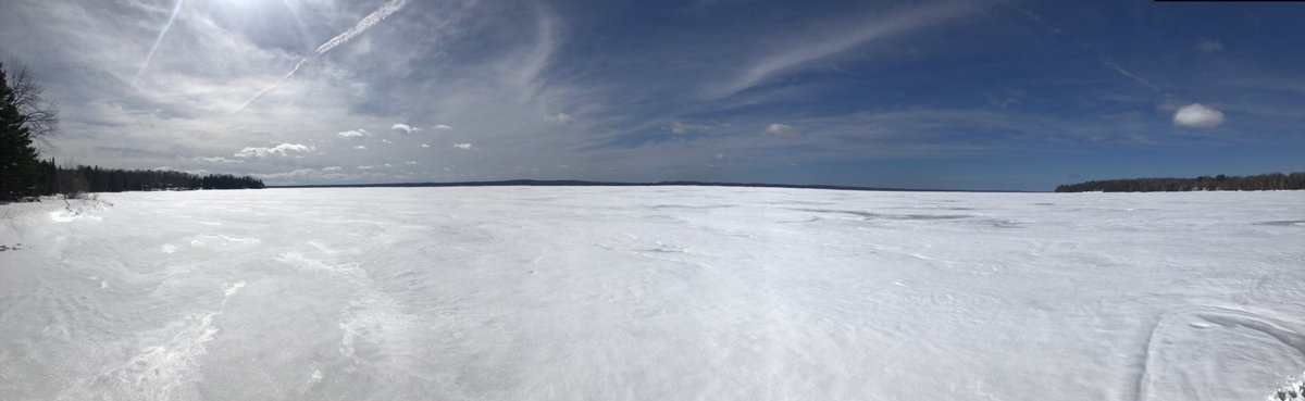 winterthoughts's tweet photo. Great spring day to go for a walk with Libby on Mullet Lake she gets crazy in the snow,  so blessed ! https://t.co/dpUL1haYy7