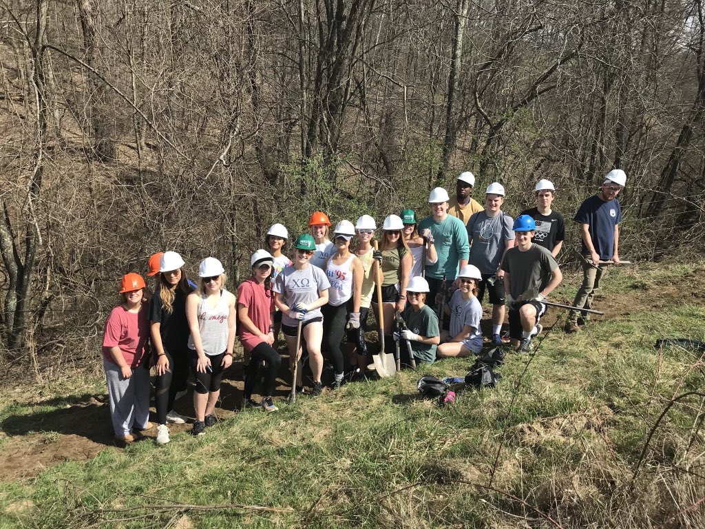 FallingRunGreenspace tweet media