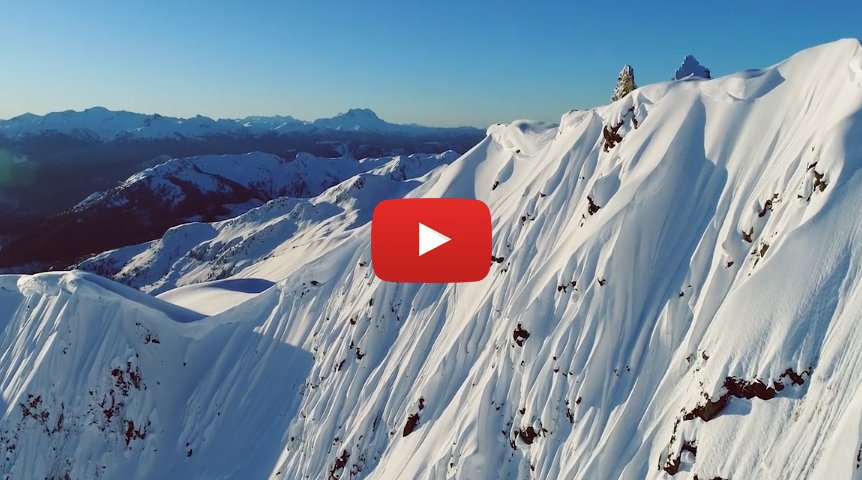 Doglotion Ski Mag tweet media